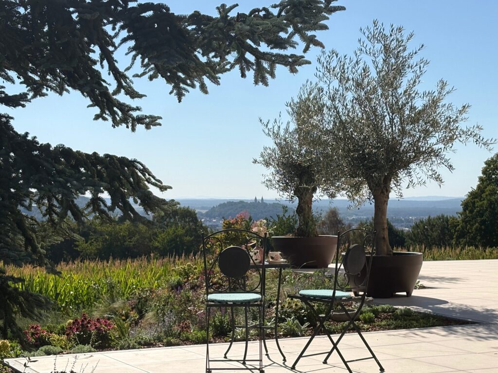 egidienhof-terrasse-sitzplatz-olivenbaeume